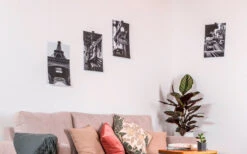 Gancho Magnético Silwy Flex Incl. Almohadillas Metálicas De Nano Gel De 5 Cm. 8 Pcs. Negro 12 Gancho Magnético Silwy Flex Incl. Almohadillas Metálicas De Nano Gel De 5 Cm. 8 Pcs. Negro -Mobiliario Para El Hogar 337223 2526526