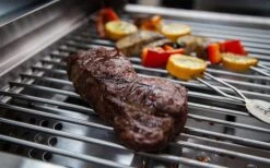 Grillfürst G201E Parrilla Portátil De Gas De 2 Quemadores -Mobiliario Para El Hogar 385660 2824885