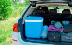 Nevera Campingaz Icetime Plus 30 Litros 12 Nevera Campingaz Icetime Plus 30 Litros -Mobiliario Para El Hogar 415869 3019628