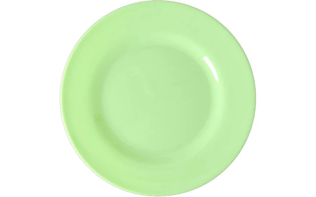 Rice Plato De Melamina Arroz Juego De Platos De Melamina 6 Piezas 20 Cm 9 Rice Plato De Melamina Arroz Juego De Platos De Melamina 6 Piezas 20 Cm - Imagen 7