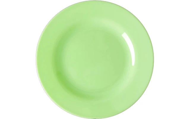 Rice Plato De Melamina Arroz Juego De Platos De Melamina 6 Piezas 20 Cm 5 Rice Plato De Melamina Arroz Juego De Platos De Melamina 6 Piezas 20 Cm - Imagen 3