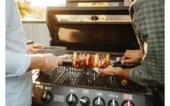 Pincho Enders Grill Pro